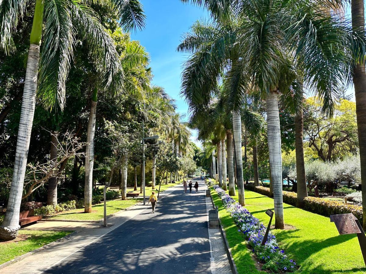 Apartmán Centrico Y Moderno Junto Al Parque Santa Cruz de Tenerife Exteriér fotografie